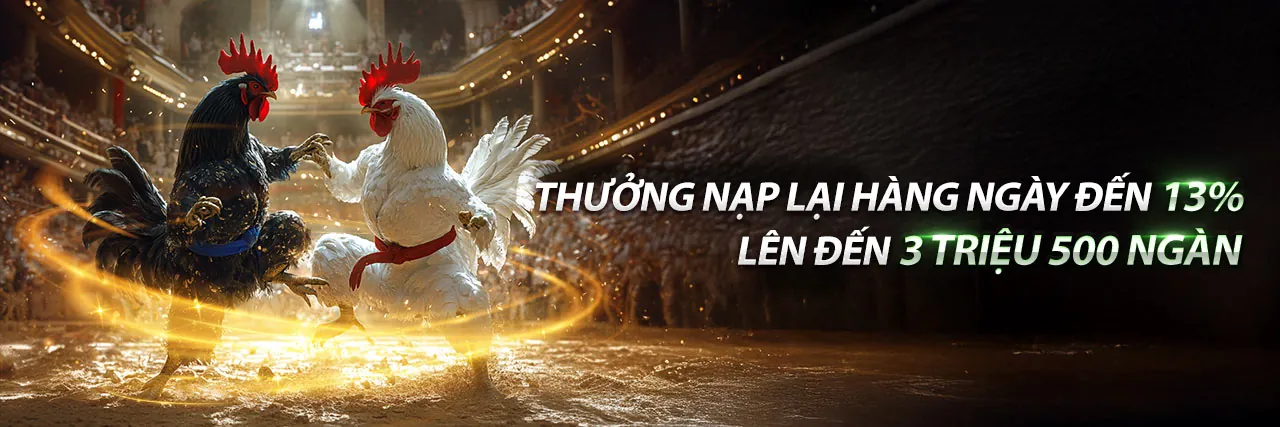 Câu Lạc Bộ VIP Betvn Độc Quyền