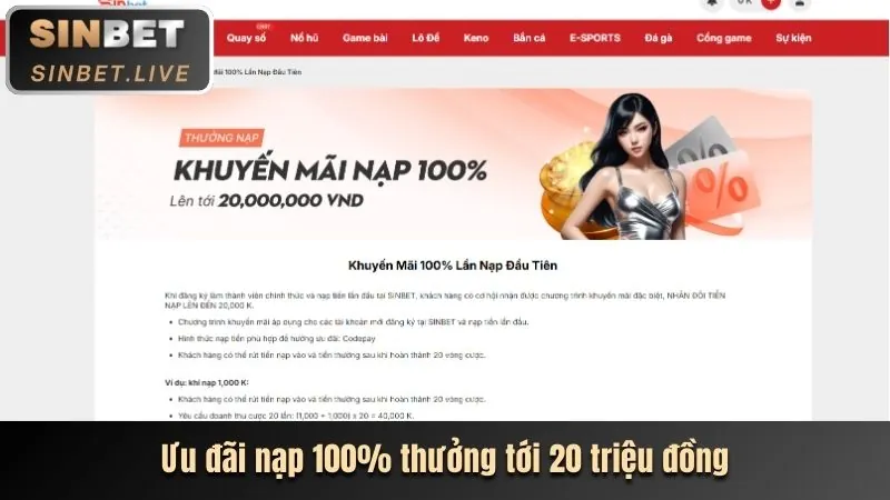 Lợi ích khi tham gia Betvn